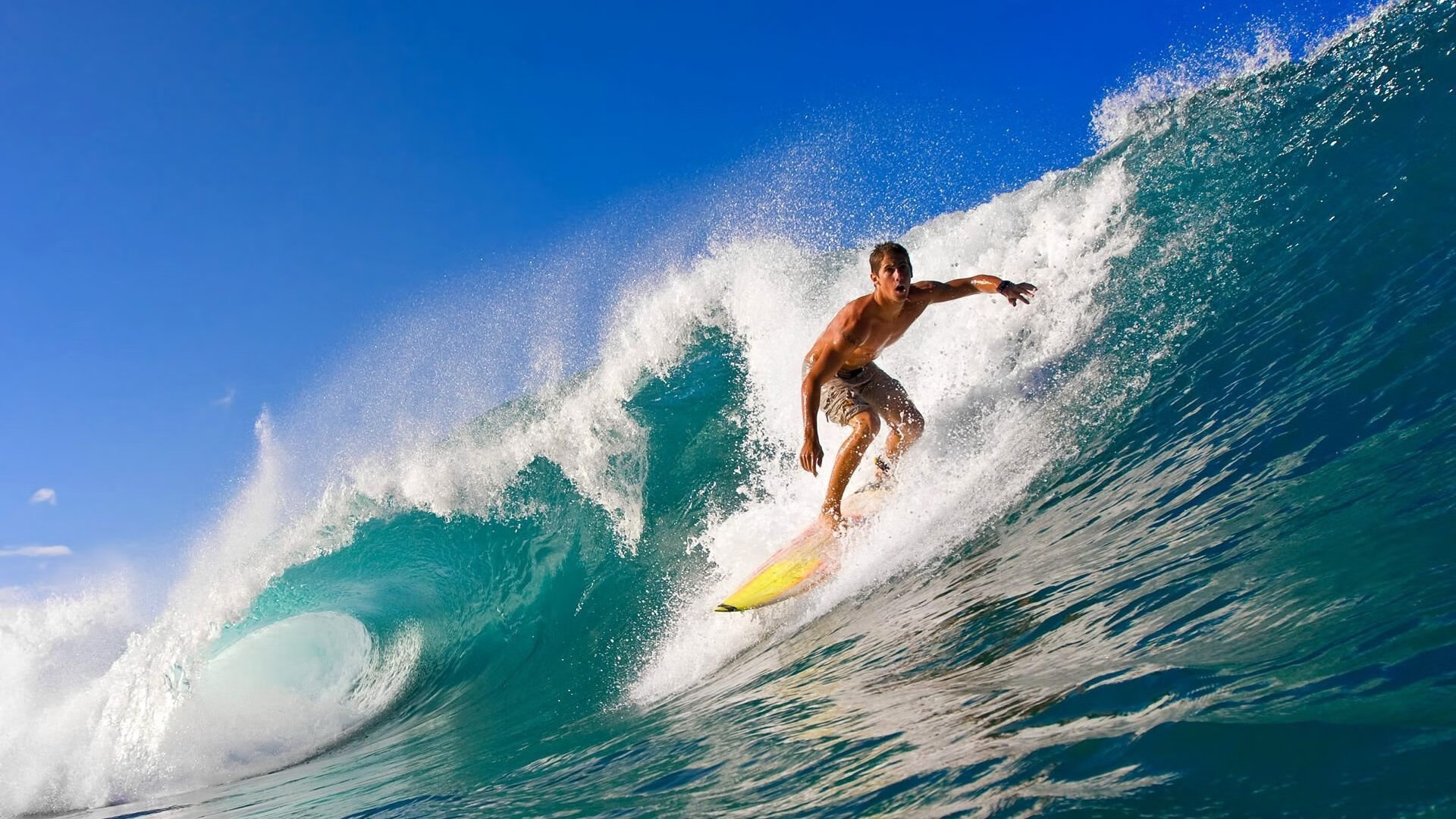 生力啤酒人战术配合日趋成熟，生力啤酒是精酿吗